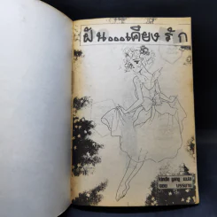 การ์ตูนยุคเก่า ฝัน...เคียงรัก รูปที่ 8