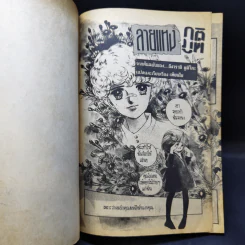 การ์ตูนยุคเก่า ลายแทงภูติ รูปที่ 8