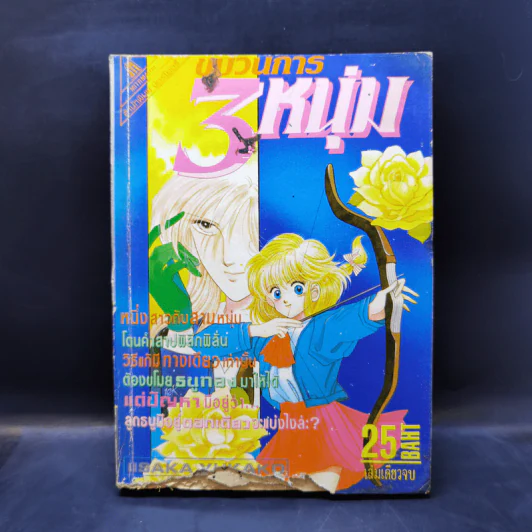 การ์ตูนยุคเก่า ขบวนการ 3 หนุ่ม รูปที่ 1
