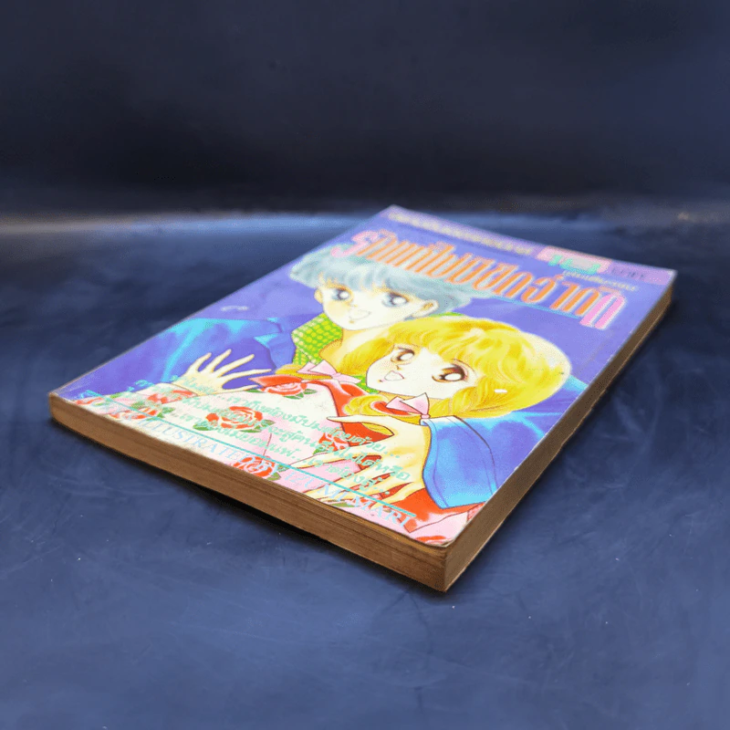การ์ตูนยุคเก่า รักแท้ไม่มีขีดจำกัด - Izumi Mari รูปที่ 7