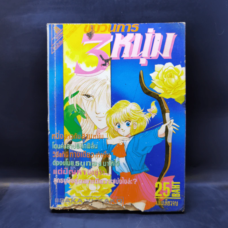 การ์ตูนยุคเก่า ขบวนการ 3 หนุ่ม รูปที่ 1