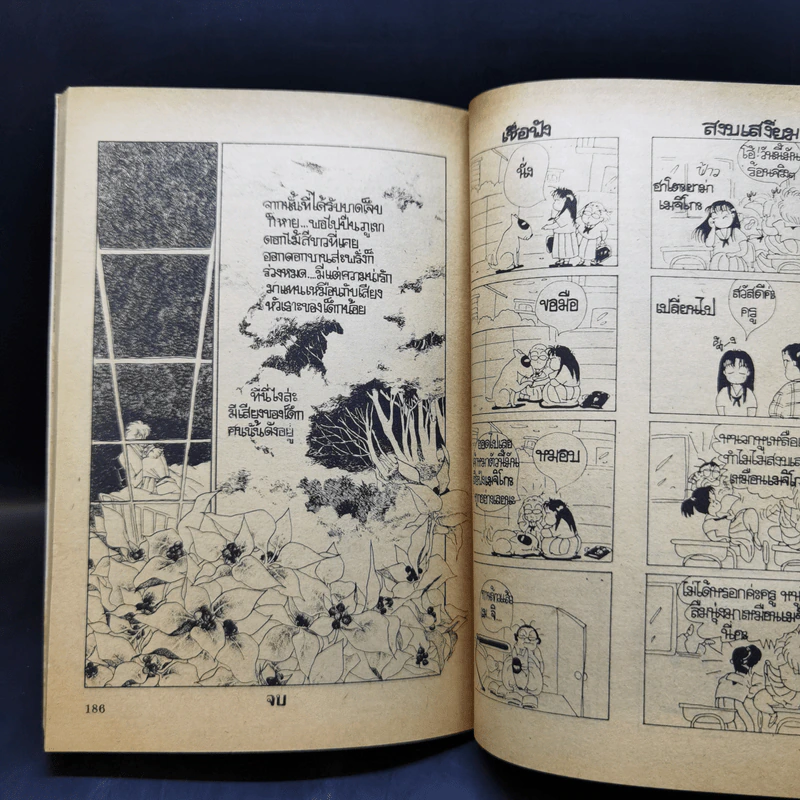 การ์ตูนยุคเก่า สู่รติกาล รูปที่ 12