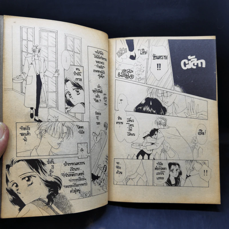 การ์ตูนยุคเก่า คุณหมาป่าที่รัก รูปที่ 9
