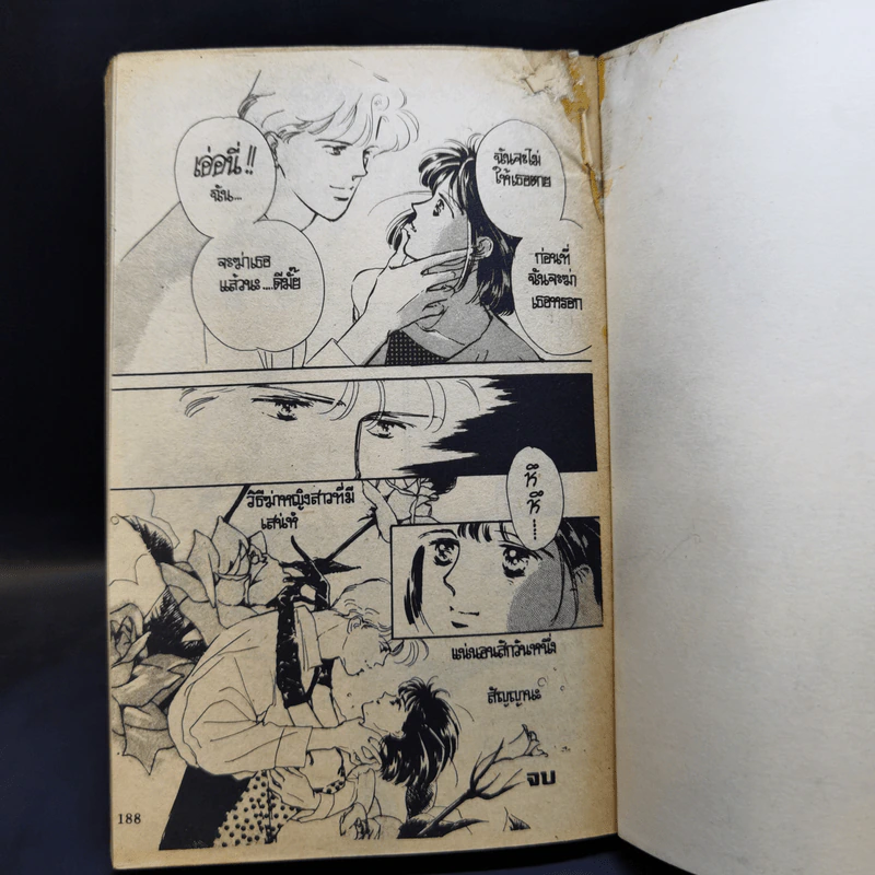 การ์ตูนยุคเก่า มนต์สะกดบอกรัก รูปที่ 10