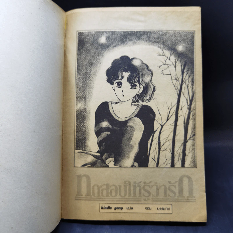 การ์ตูนยุคเก่า ทดสอบให้รู้ว่ารัก รูปที่ 8