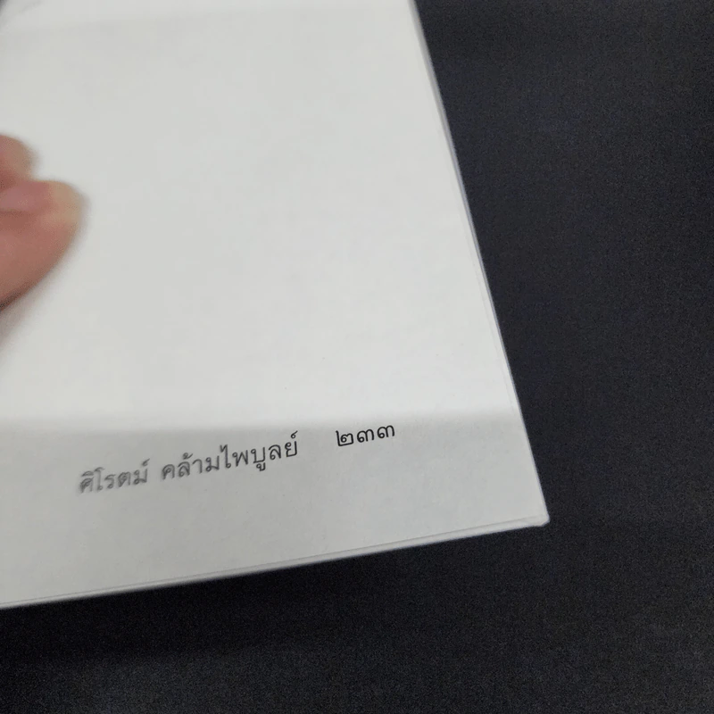 แรงงานวิจารณ์เจ้า - ศิโรตม์ คล้ามไพบูลย์ รูปที่ 16