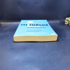ใช้ความคิดเอาชนะโชคชะตา : Mindset - Carol S. Dweck (แครอล เอส ดเว็ค), Ph.D. รูปที่ 4