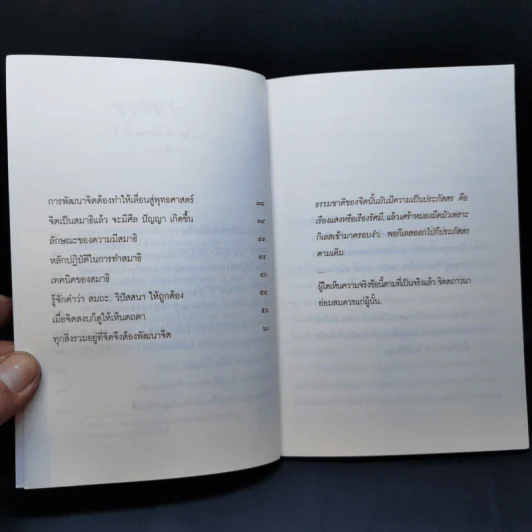 จิตตภาวนา คือ ชีวิตพัฒนา - พุทธทาสภิกขุ รูปที่ 11