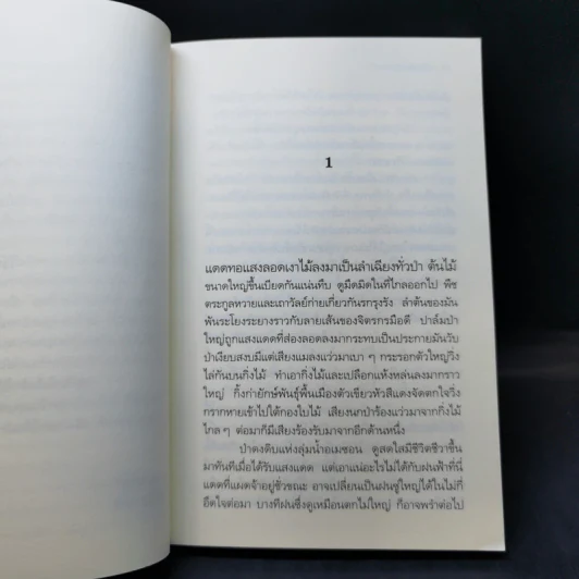 ป่ามหากาฬ - วัธนา บุญยัง รูปที่ 10