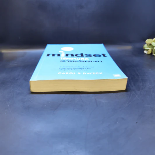 ใช้ความคิดเอาชนะโชคชะตา : Mindset - Carol S. Dweck (แครอล เอส ดเว็ค), Ph.D. รูปที่ 4