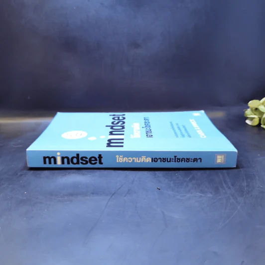 ใช้ความคิดเอาชนะโชคชะตา : Mindset - Carol S. Dweck (แครอล เอส ดเว็ค), Ph.D. รูปที่ 3