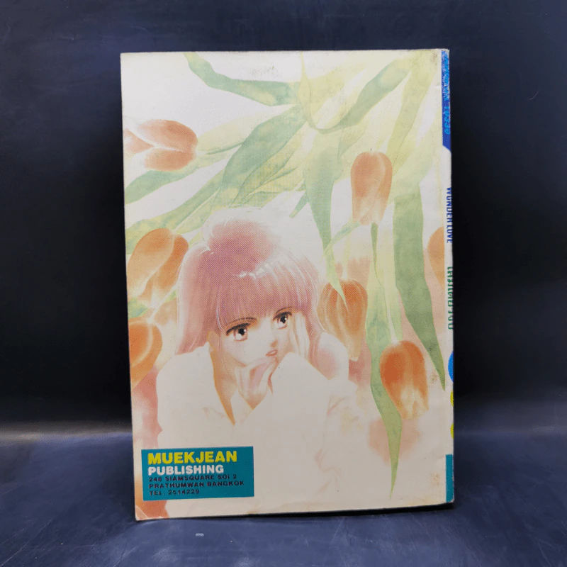การ์ตูนยุคเก่า Wonder Love วันเดอร์เลิฟ - คาวาจิ ยูคาริ รูปที่ 2