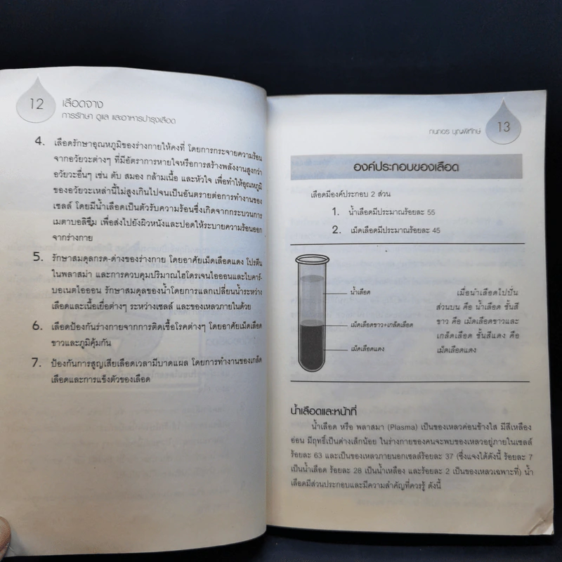 เลือดจาง การรักษา ดูแล และอาหารบำรุงเลือด - กนกอร บุญพิทักษ์ รูปที่ 13