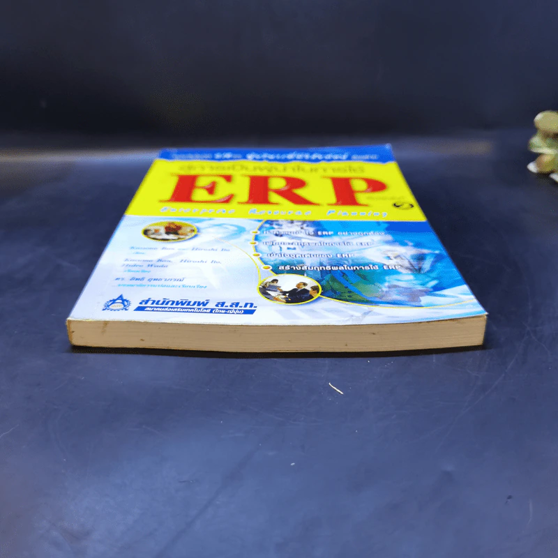 สู่การเป็นผู้นำในการใช้ ERP รูปที่ 4