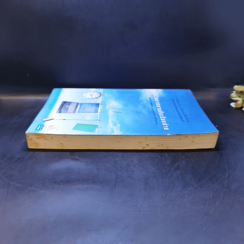 สู่ชีวิตการงานอันเรียบง่าย Simplify Your Work Life รูปที่ 5