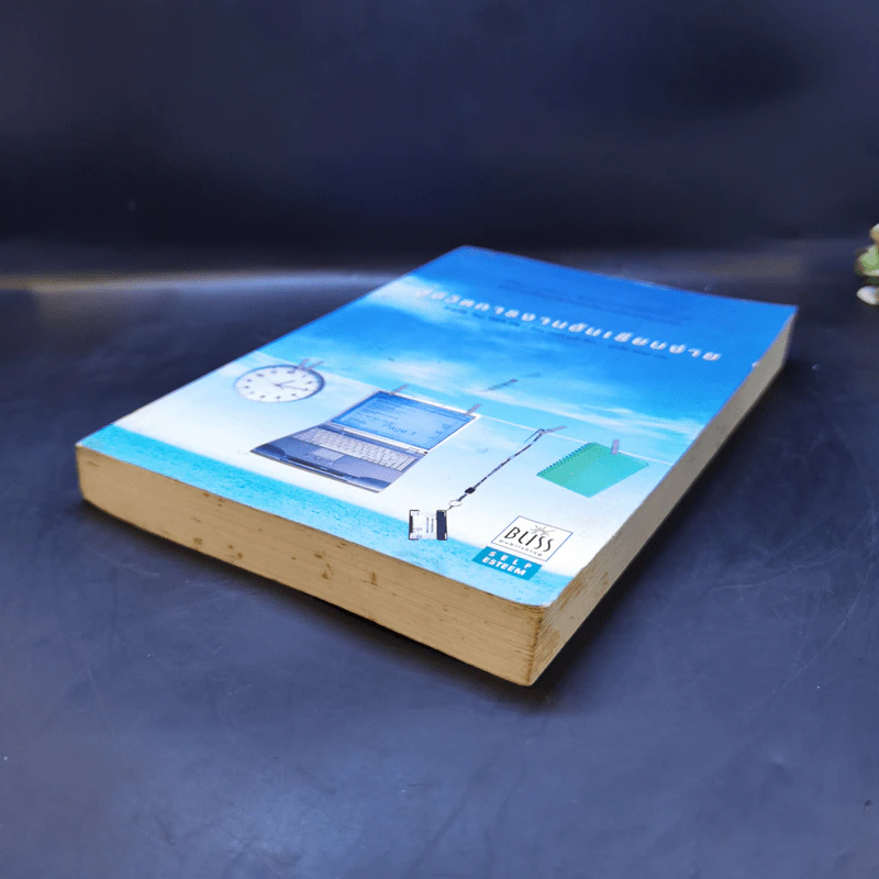 สู่ชีวิตการงานอันเรียบง่าย Simplify Your Work Life รูปที่ 7