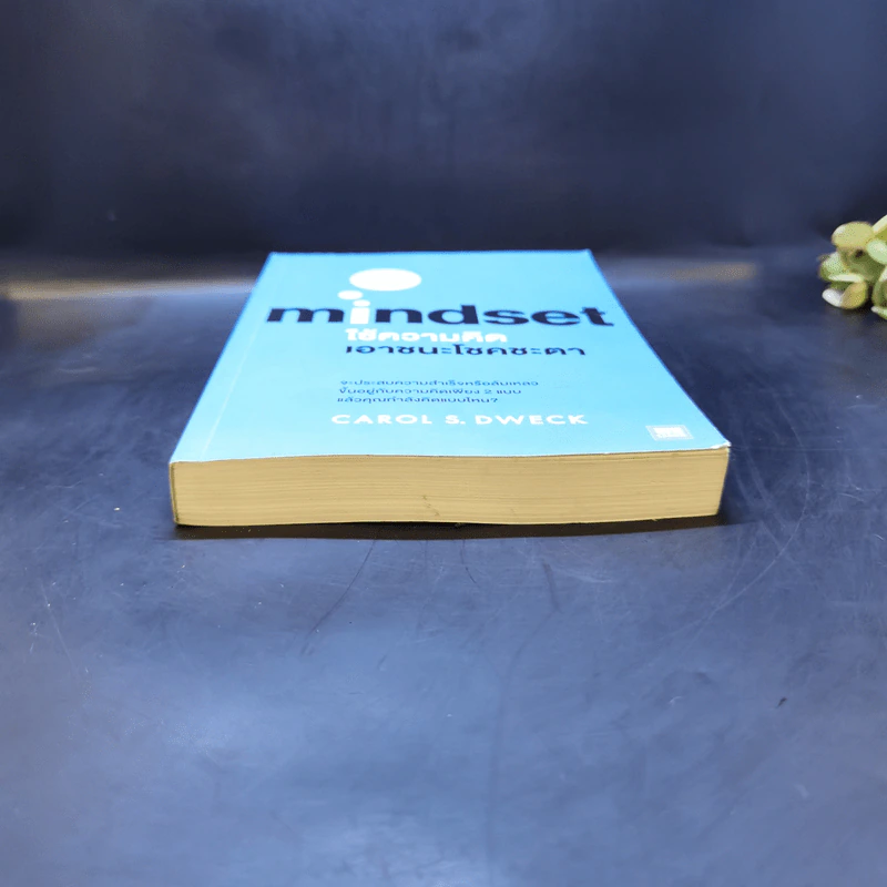 ใช้ความคิดเอาชนะโชคชะตา : Mindset - Carol S. Dweck (แครอล เอส ดเว็ค), Ph.D. รูปที่ 4