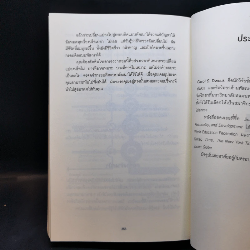 ใช้ความคิดเอาชนะโชคชะตา : Mindset - Carol S. Dweck (แครอล เอส ดเว็ค), Ph.D. รูปที่ 12