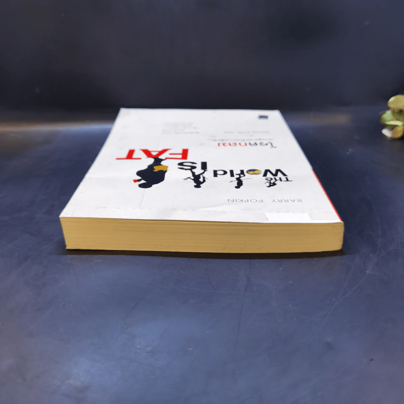 โรคกลม The World is Fat เศรษฐศาสตร์ในความตุ้ยนุ้ย - Barry Popkin (แบร์รี่ ป๊อปกิ้น) รูปที่ 6