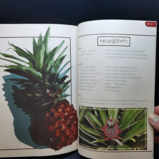 (ไม่) เป็นสับปะรด More Than Just Pineapple รูปที่ 13