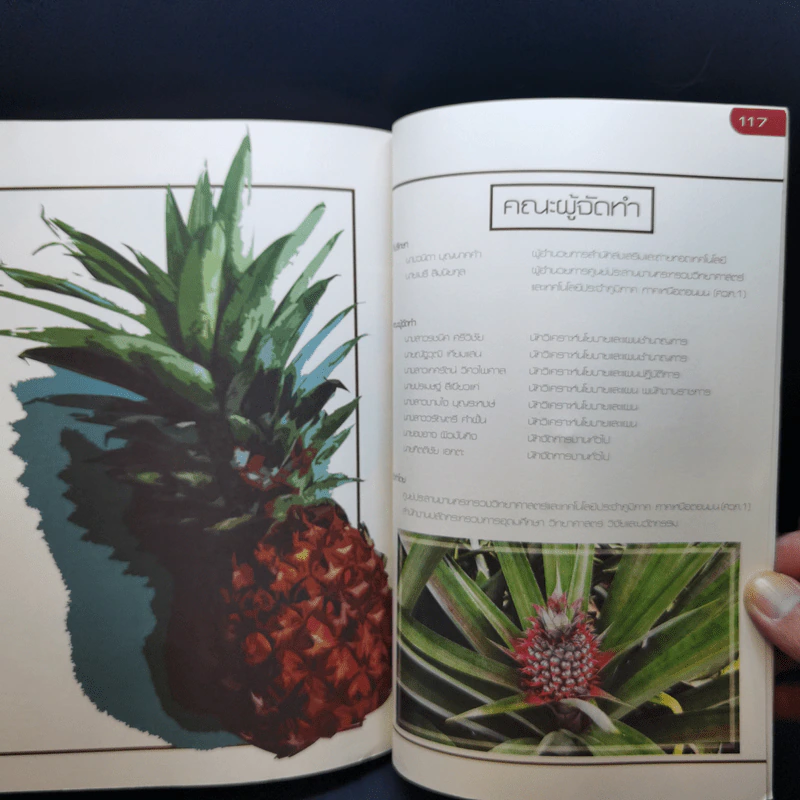 (ไม่) เป็นสับปะรด More Than Just Pineapple รูปที่ 13