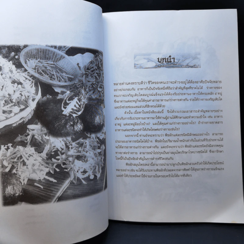 คุณค่านานา ผัก เพื่อสุขภาพ - กระยาทิพย์ เรือนใจ รูปที่ 11