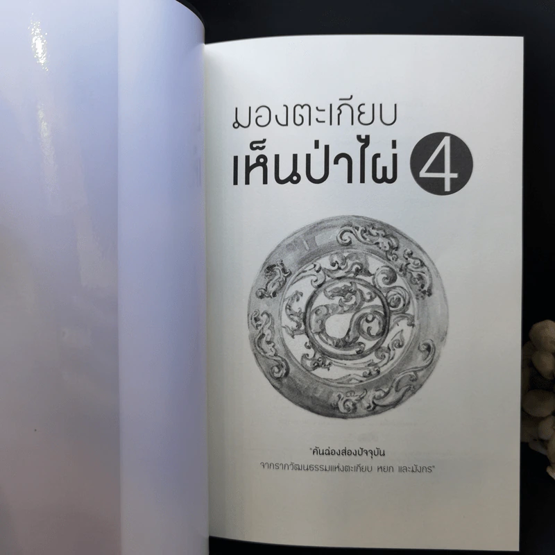 มองตะเกียบ เห็นป่าไผ่ เล่ม 1-4 - นิธิพันธ์ วิประวิทย์ รูปที่ 17