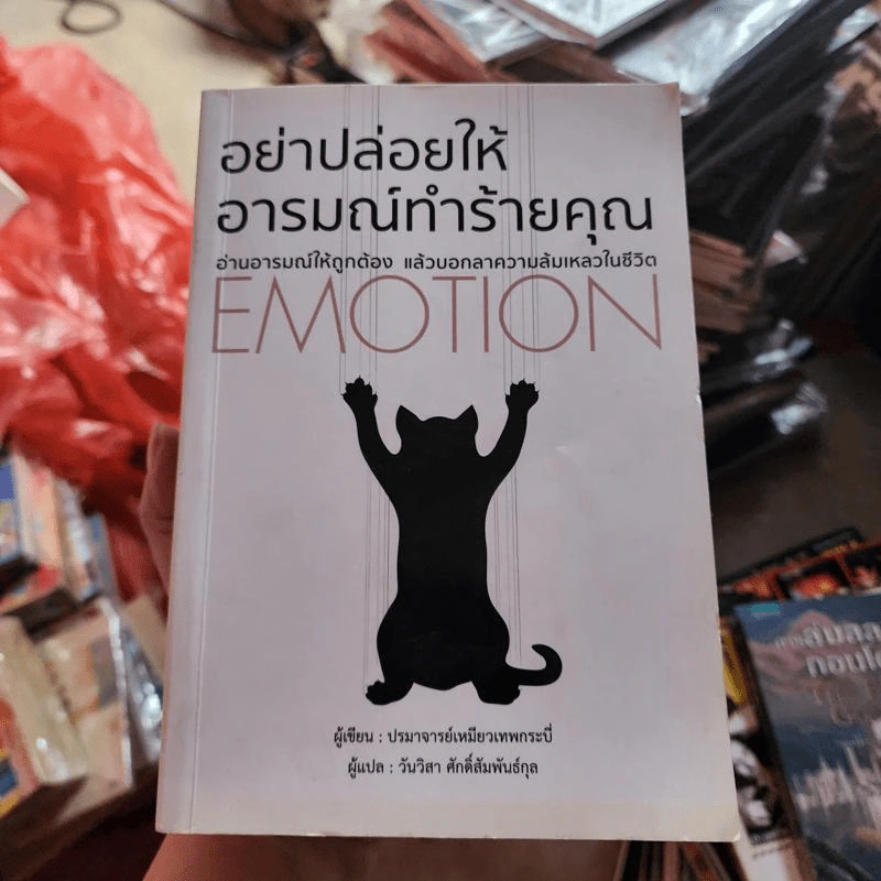 อย่าปล่อยให้อารมณ์ทำร้ายคุณ - ปรมาจารย์เหมียวเทพกระบี่ รูปที่ 1