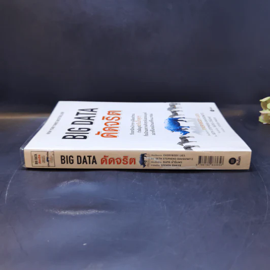 Big Data ดัดจริต - SETH STEPHENS-DAVIDOWITZ รูปที่ 3