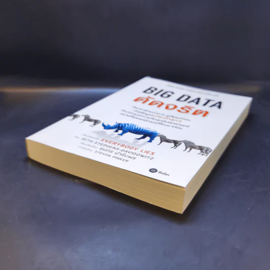 Big Data ดัดจริต - SETH STEPHENS-DAVIDOWITZ รูปที่ 7