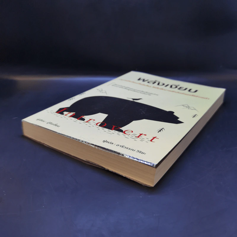 พลังเงียบ Introvert - ตู้จือเจี้ยน รูปที่ 7
