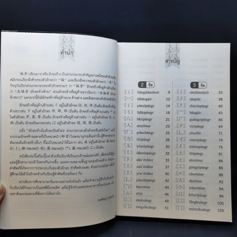 อักษรข้างในอักษรจีนตัวย่อ ส่วนประกอบตัวอักษรจีนสมัยใหม่ - นพพิชญ์ ประหวั่น รูปที่ 9