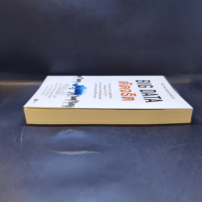 Big Data ดัดจริต - SETH STEPHENS-DAVIDOWITZ รูปที่ 5