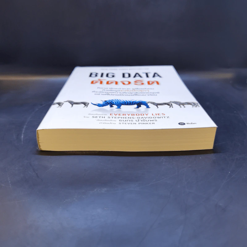 Big Data ดัดจริต - SETH STEPHENS-DAVIDOWITZ รูปที่ 4