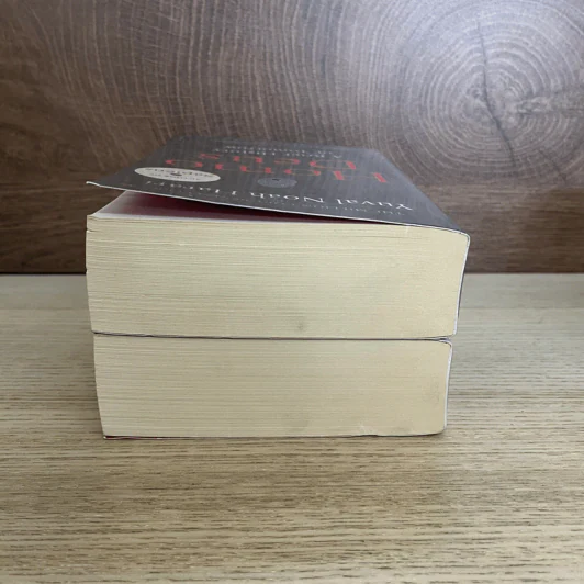 Sapiens + Homo Deus รูปที่ 5