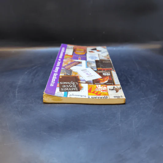 หนังสือดีในรอบศตวรรษ - วิทยากร เชียงกูล รูปที่ 6