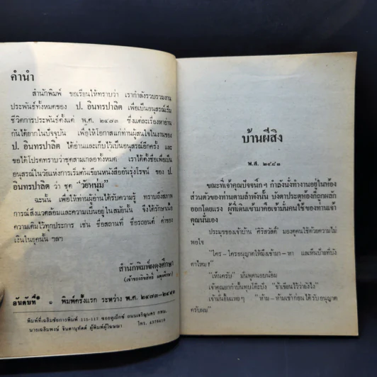 บ้านผีสิง - ป.อินทรปาลิต รูปที่ 9