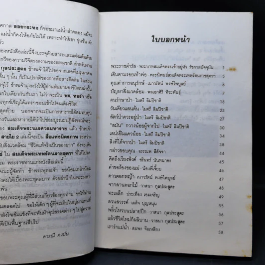 สายใย 2 รูปที่ 10
