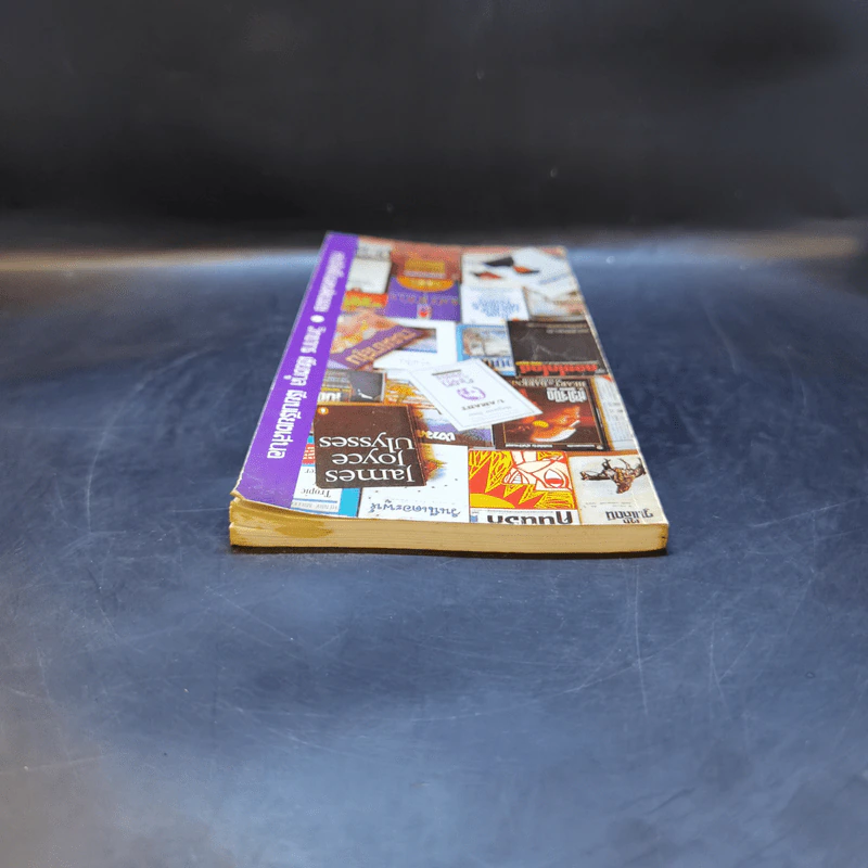 หนังสือดีในรอบศตวรรษ - วิทยากร เชียงกูล รูปที่ 6