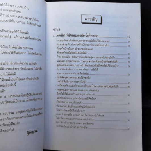 เทคนิคชาวบ้านเพื่อการอยู่ดีกินดี - ฐิติญาณ์ รูปที่ 10