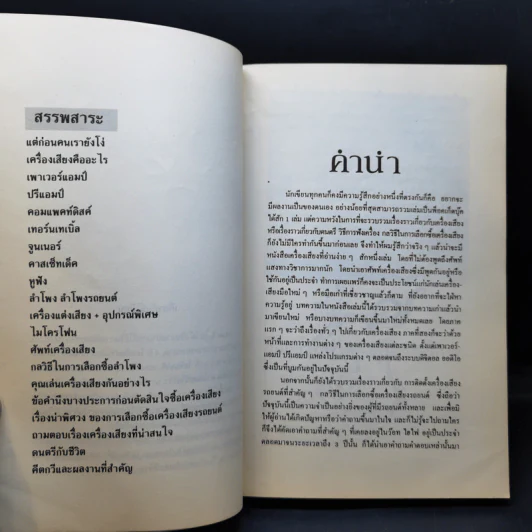 เครื่องเสียง โลกส่วนตัวของผู้มีดนตรีกาล - แหวน & ใบไม้ รูปที่ 10