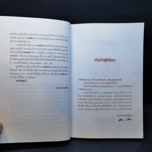 ผีหัวเราะ (ดาวโจร) - สรจักร รูปที่ 10