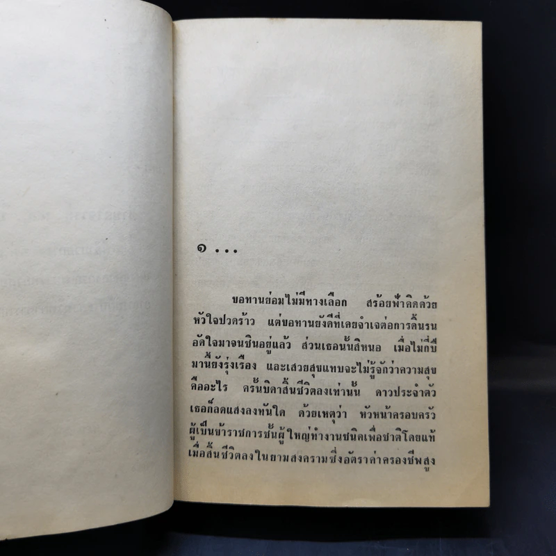 สร้อยฟ้าขายตัว - ชอุ่ม ปัญจพรรค์ รูปที่ 11