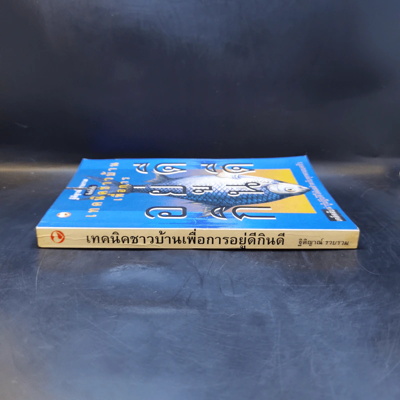 เทคนิคชาวบ้านเพื่อการอยู่ดีกินดี - ฐิติญาณ์ รูปที่ 3