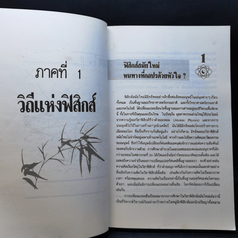เต๋าแห่งฟิสิกส์ - ฟริตจอฟ คาปรา รูปที่ 10