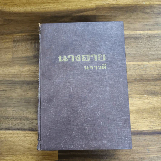 นางอาย - นราวดี รูปที่ 1