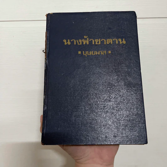 นางฟ้าซาตาน เล่ม 1 - บุษยมาส รูปที่ 1