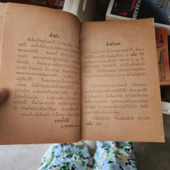 เรื่องสั้นชุด หลวงตา 2 - แพรเยื่อไม้ รูปที่ 5