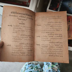 เรื่องสั้นชุด หลวงตา 2 - แพรเยื่อไม้ รูปที่ 3