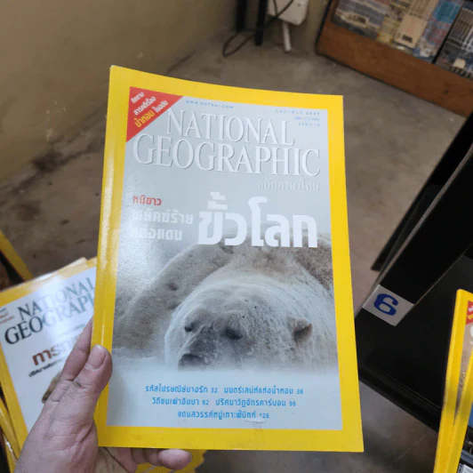 National Geographic ก.พ.2547 หมีขาวพยัคฆ์ร้ายแห่งแดนขั้วโลก รูปที่ 1